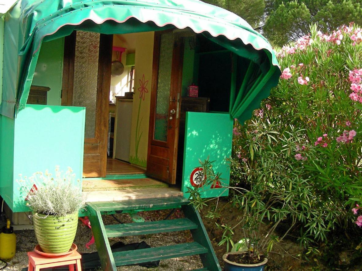 L'Amandari - Chambres D'Hotes Le Plan-de-la-Tour Luaran gambar